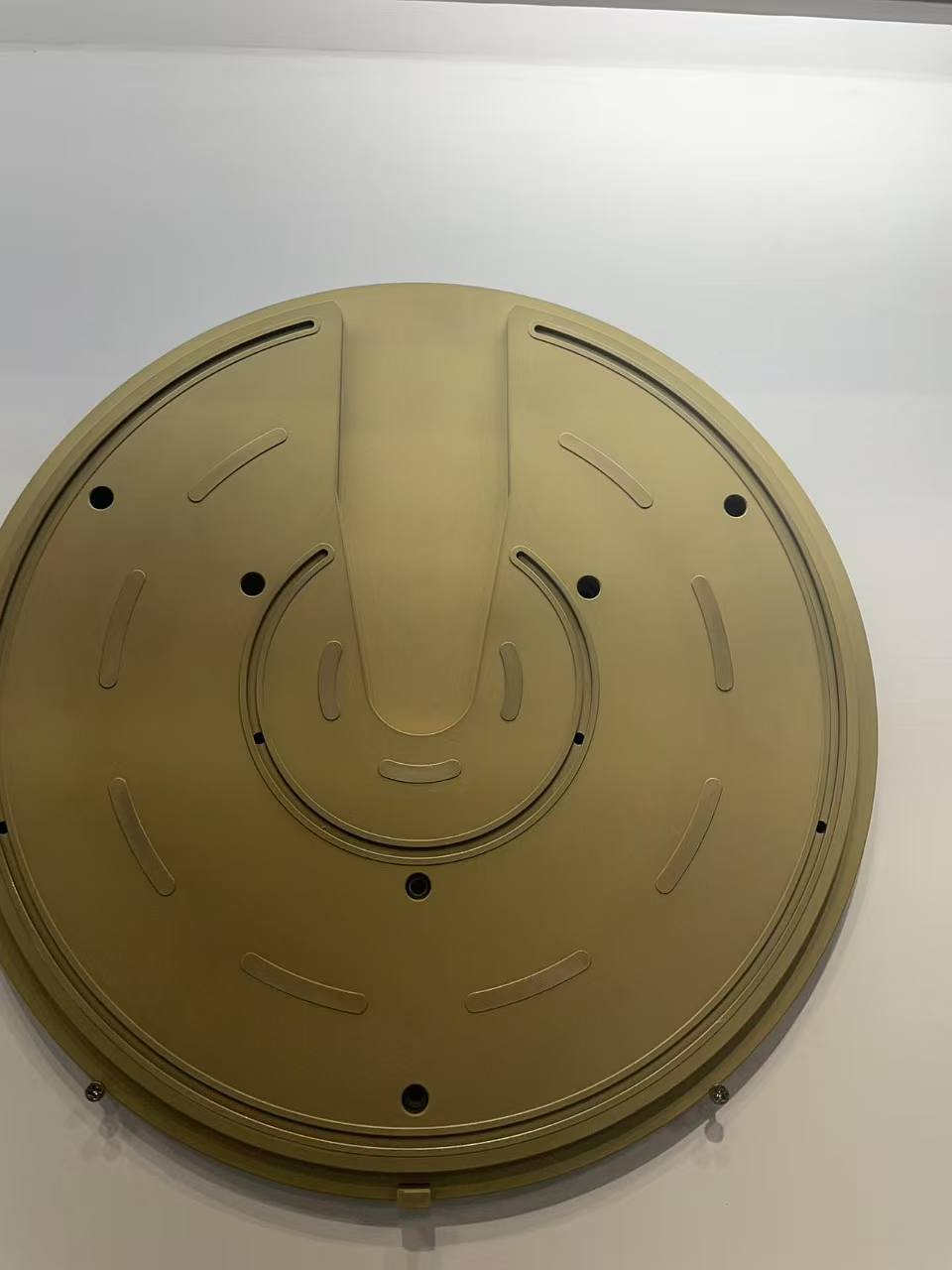 TiN coated Wafer Chuck.jpg