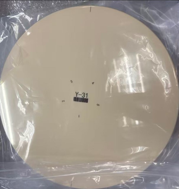 ceramic wafer carrier .jpg